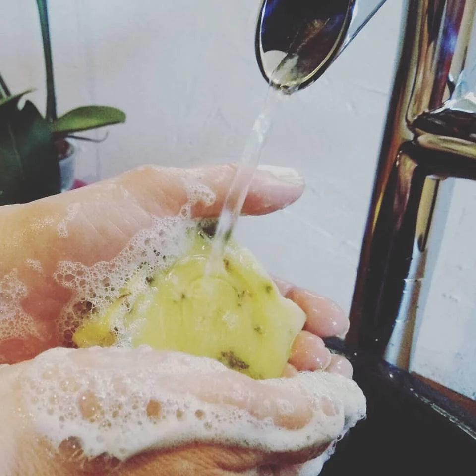 Trio Hair Care Pack - Organic Solid Shampoo, Organic Concentrated Hair