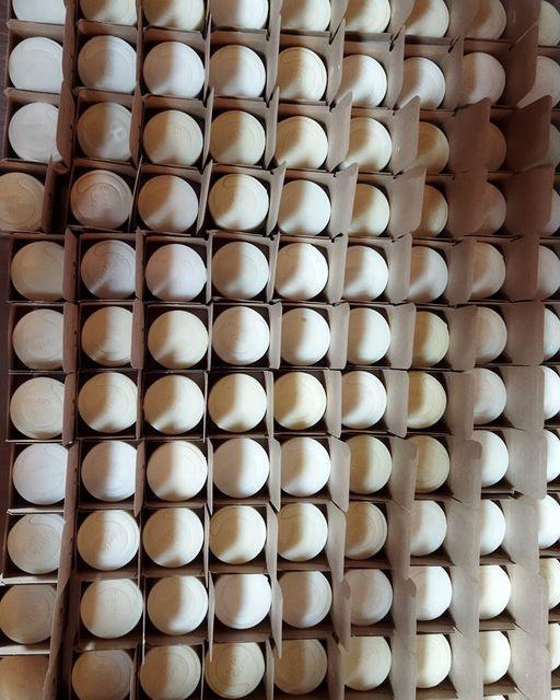 Gift Set DUO - Organic Solid Shampoo & Organic Solid Soap plus - EcoGlow Essence