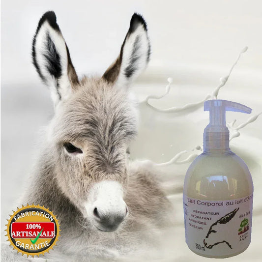 Body milk with organic donkey’s milk & organic argan oil 300 ml (pump) - EcoGlow Essence