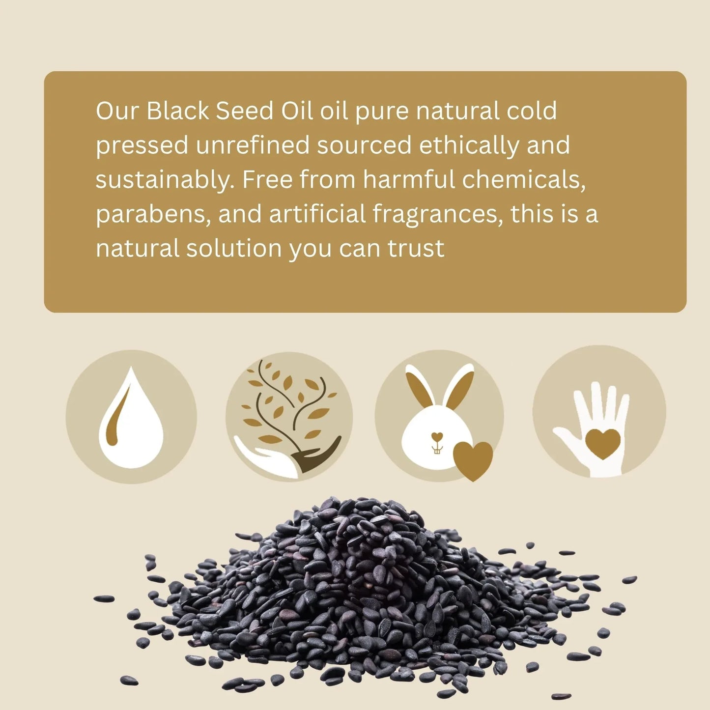 Black Seed Oil (organic, cold pressed, unrefined) - EcoGlow Essence